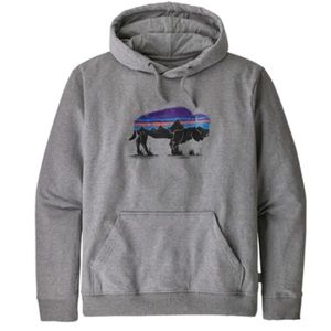 EUC Patagonia Fitz Roy Bear Uprisal Hoodie